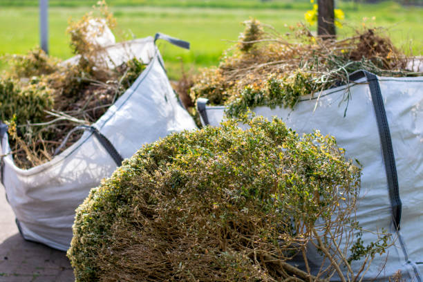 Best Hoarding Cleanup  in Winchester, NV